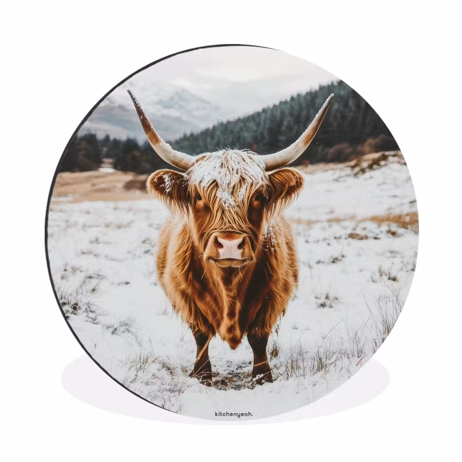 Schotse Hooglander - Sneeuw - Winter - Dieren Wandcirkel aluminium klein -3d