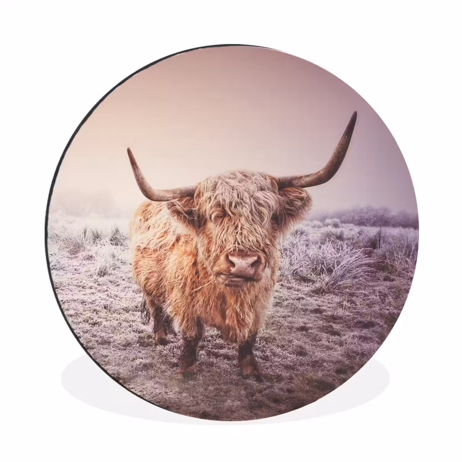 Schotse hooglanders - Licht - Lucht - Natuur Wandcirkel aluminium klein -3d