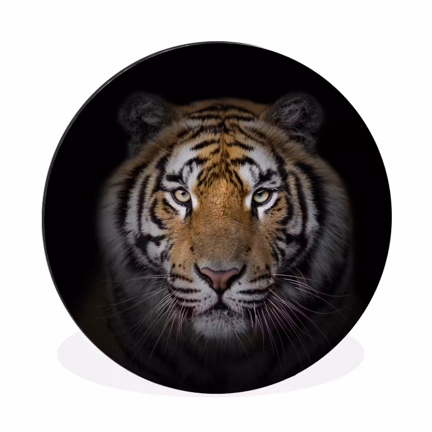 Tijger - Wilde dieren - Portret - Zwart - Dieren Wandcirkel aluminium klein -3d