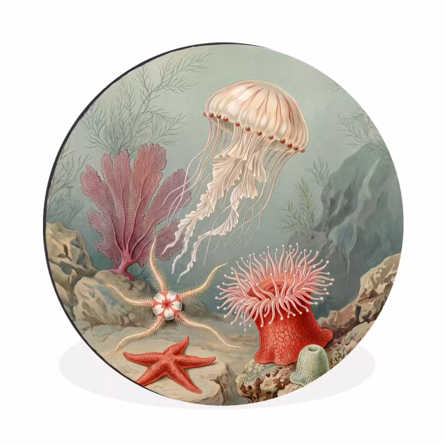 Zeeleven - Kwal - Onderwater - Illustratie - Beige Wandcirkel aluminium klein -3d