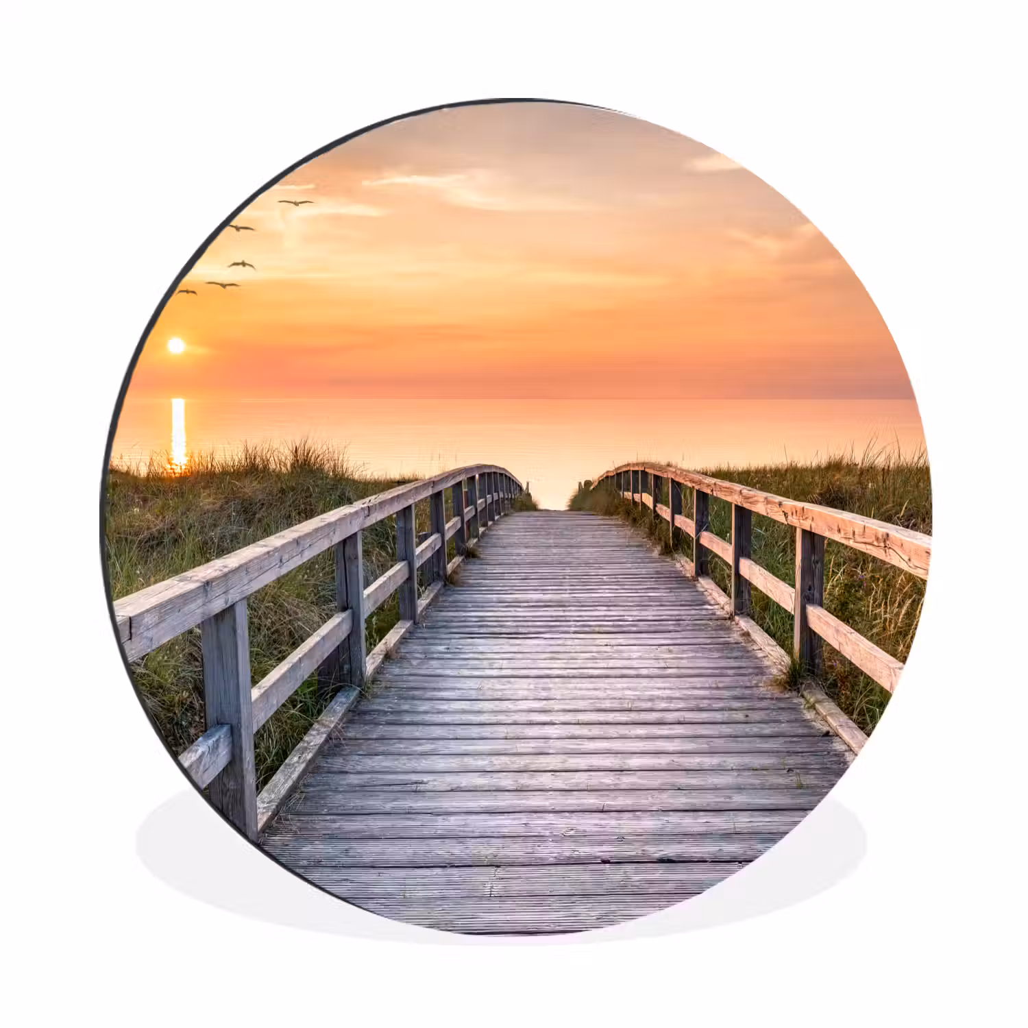 Zonsonderang - Zee - Pad - Gras - Duin - Vogels Wandcirkel aluminium klein -3d