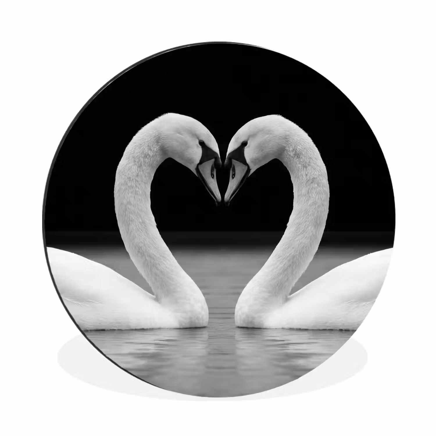 Zwanen - Hart - Zwart - Wit Wandcirkel aluminium klein -3d