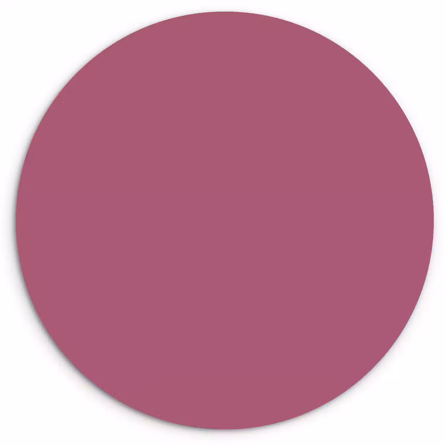 Berry - Roze -Pink Wandcirkel kunststof plaat 5mm dik klein 188 -3d