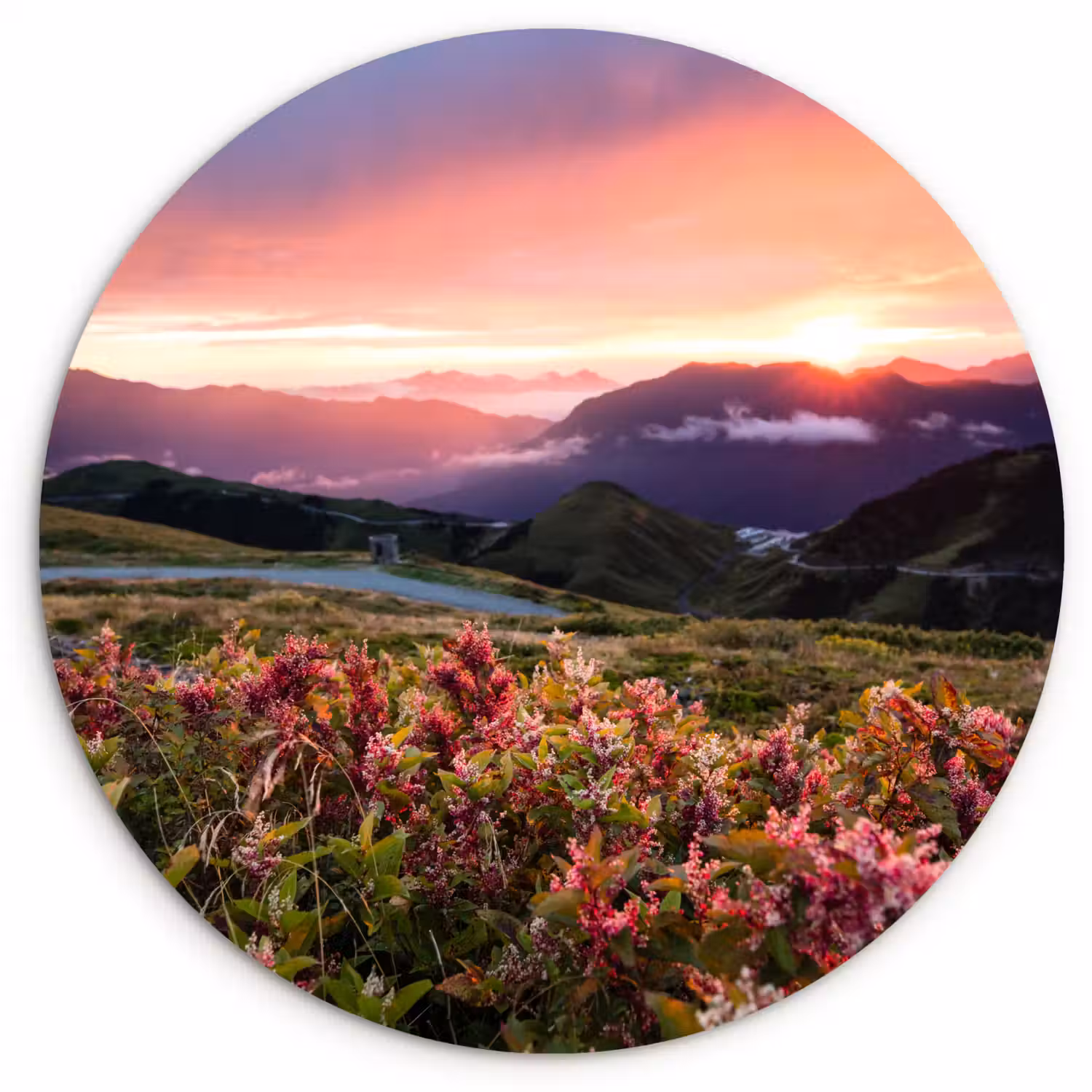 Bloemen - Bergen - Landschap - Nacht - Lucht - Roze Wandcirkel kunststof plaat 5mm dik klein -3d