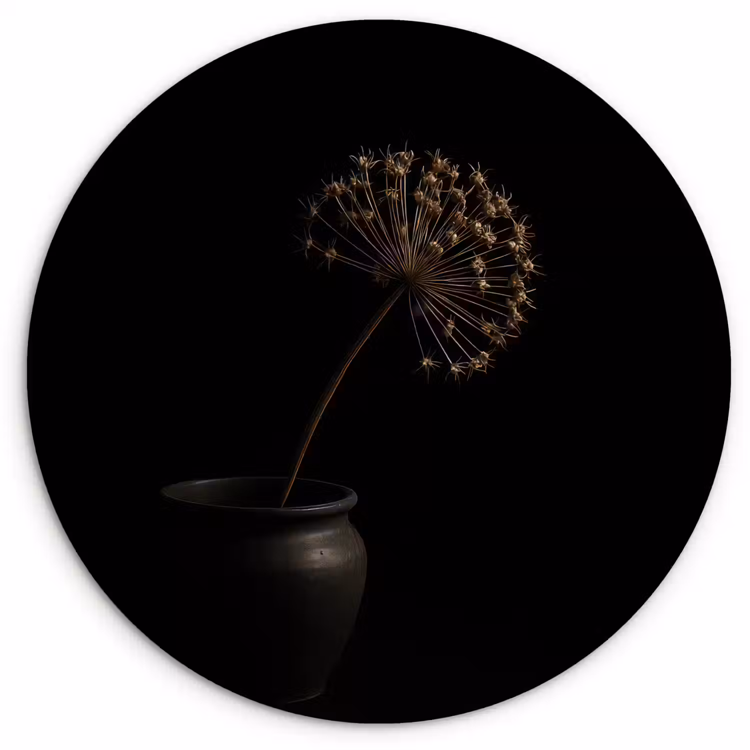 Bol - Gedroogd - Vaas - Zwart Wandcirkel kunststof plaat 5mm dik klein -3d