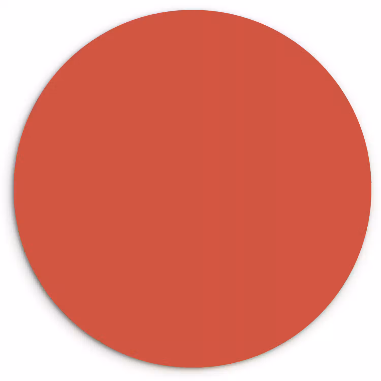 Brick - Red - Rood Wandcirkel kunststof plaat 5mm dik klein 188 -3d