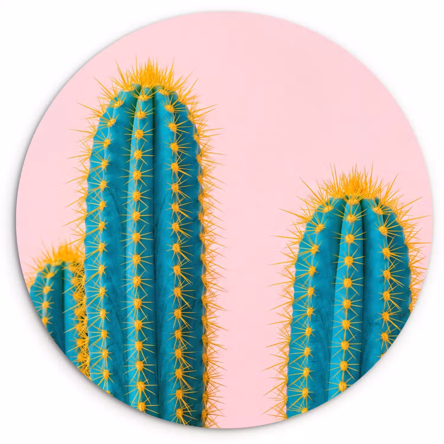 Cactussen - Modern - Pastel Wandcirkel kunststof plaat 5mm dik klein -3d