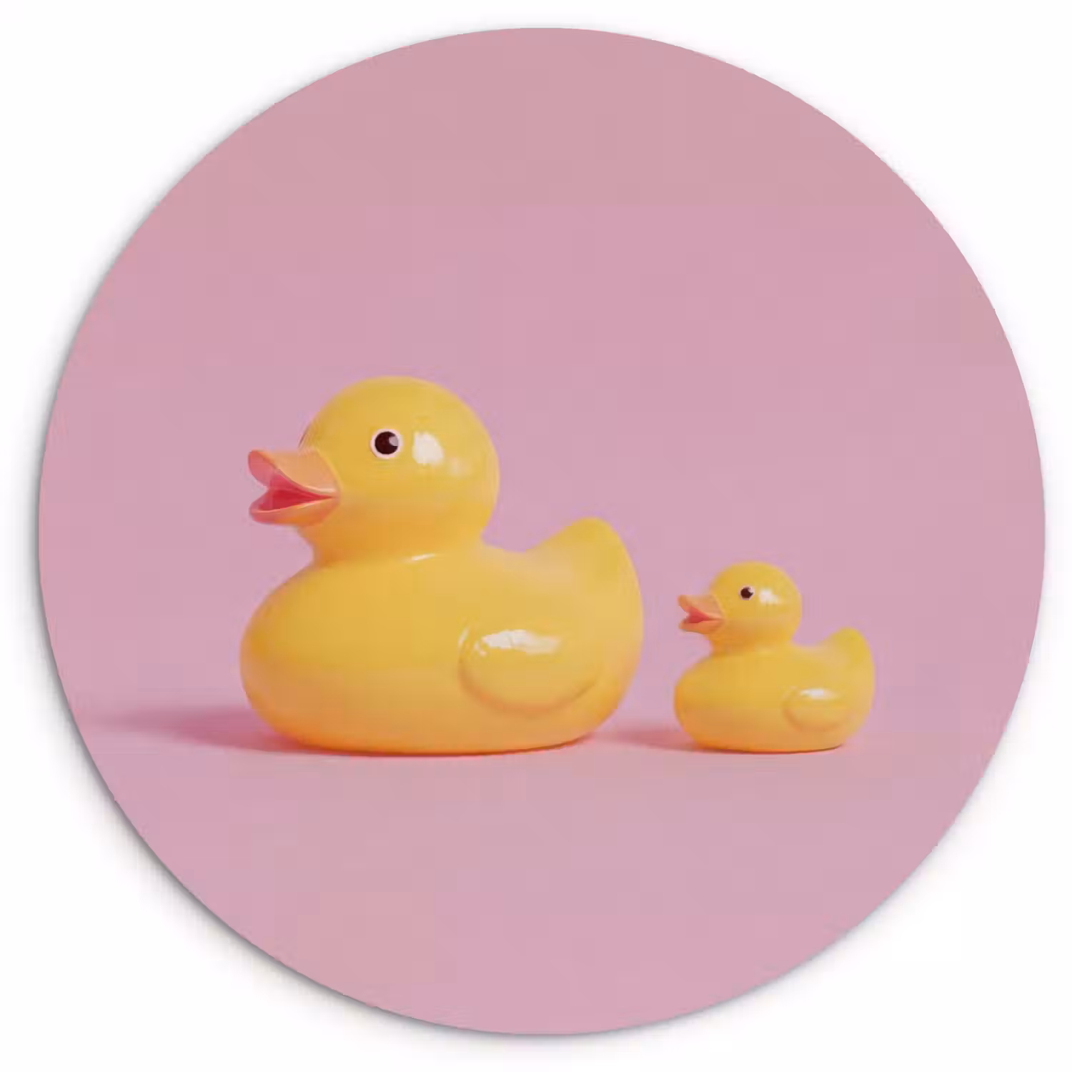 Eendjes - Vrolijk - Roze Wandcirkel kunststof plaat 5mm dik klein -3d