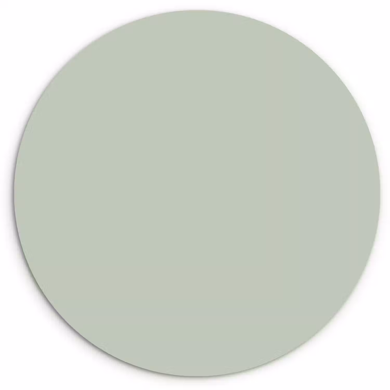 Frosted - Mint - Groen Wandcirkel kunststof plaat 5mm dik klein 188 -3d