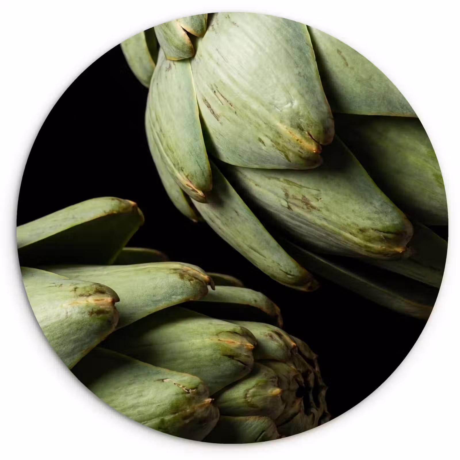 Muurcirkel glas - Artisjok - Groen - Eten - Artisjok - Groen - Eten Wandcirkel plexiglas klein