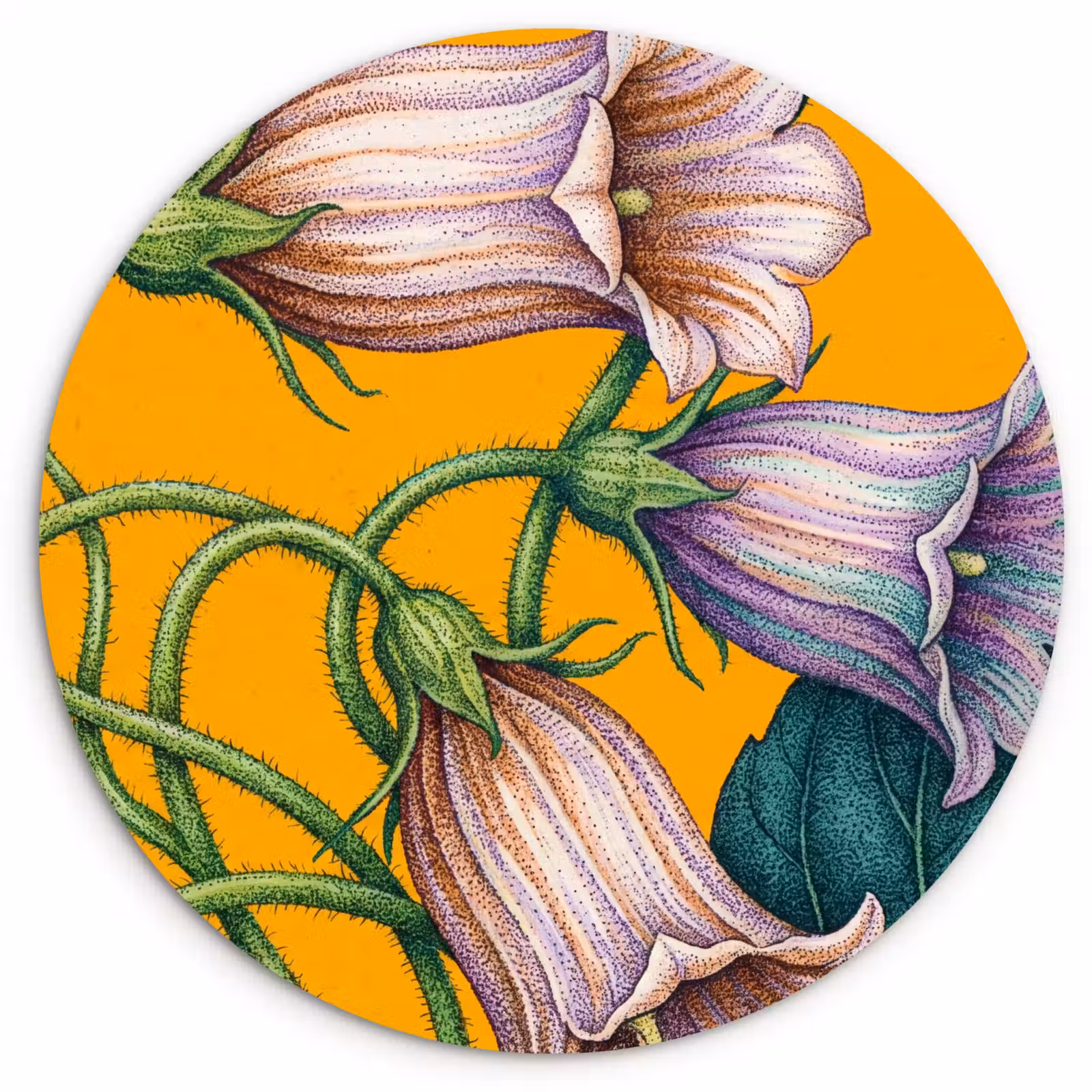 Muurcirkel glas - Bloemen - Botanisch - Geel — 1