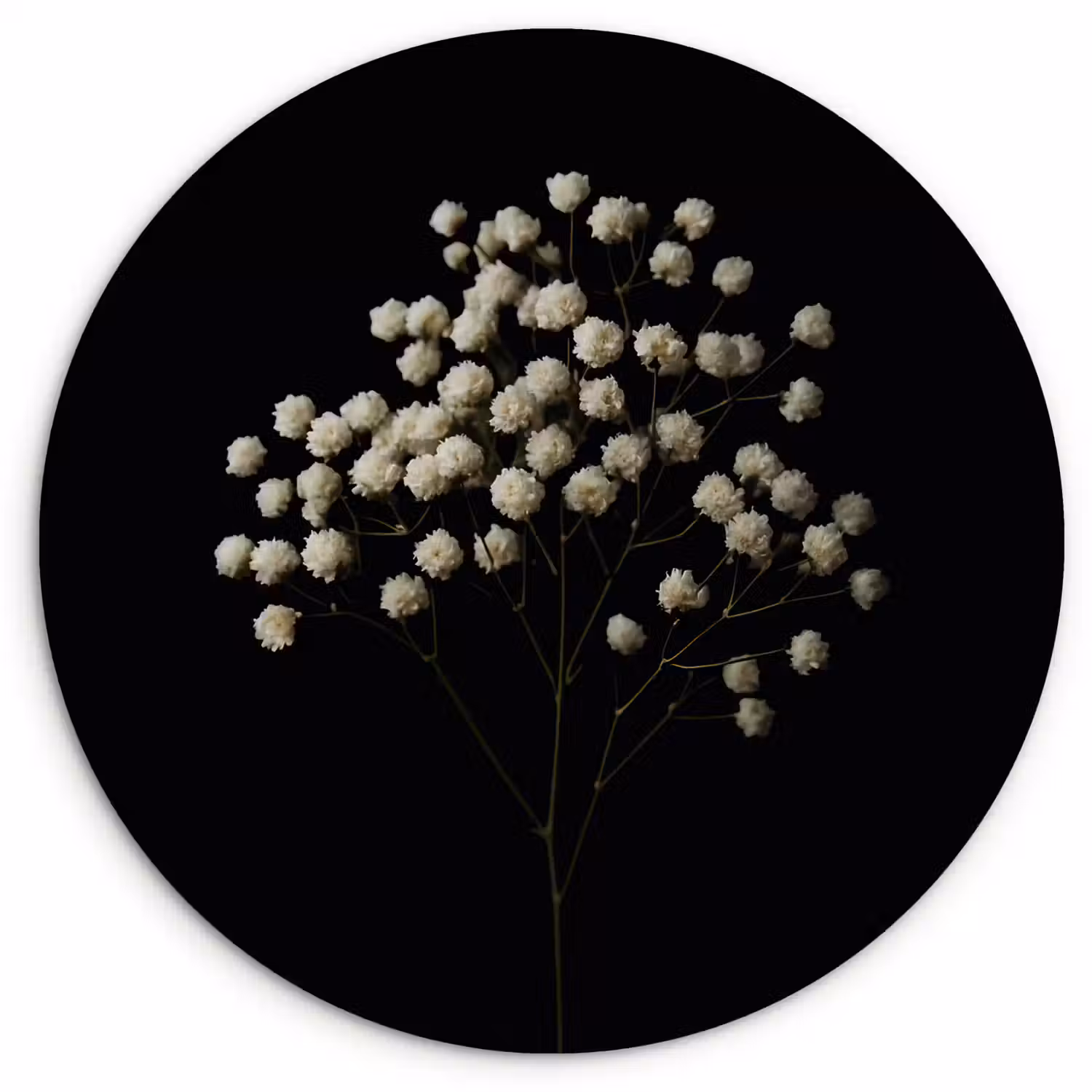 Gipskruid - Bloemetjes - Wit - Minimalistisch Wandcirkel plexiglas klein -3d