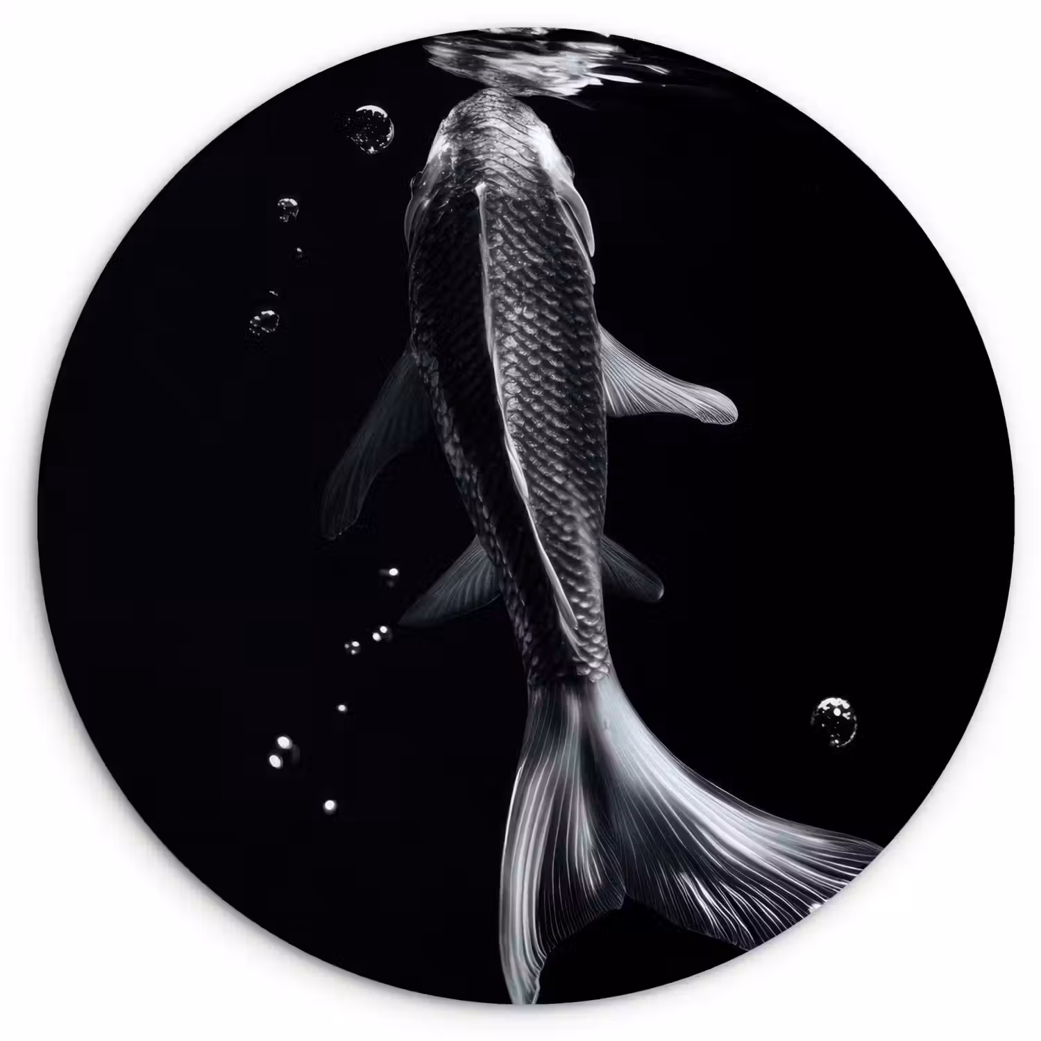 Koi - Vissen - Water - Zwart Wandcirkel plexiglas klein -3d