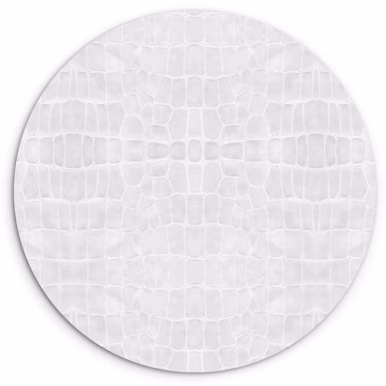 Krokodil - Leer - Wit Wandcirkel plexiglas klein 852 -3d