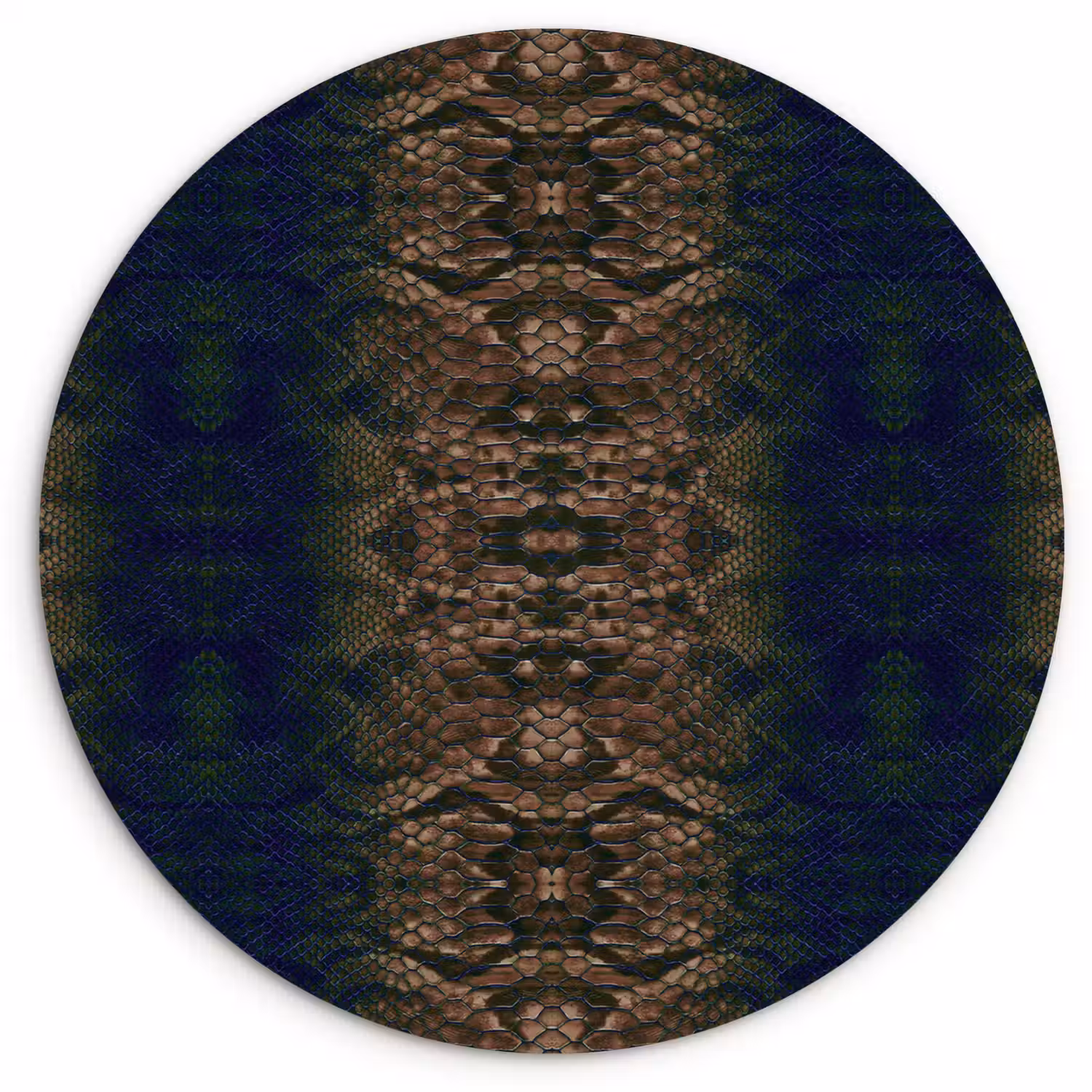 Slang - Boa - Bruin - Blauw Wandcirkel plexiglas klein 852 -3d