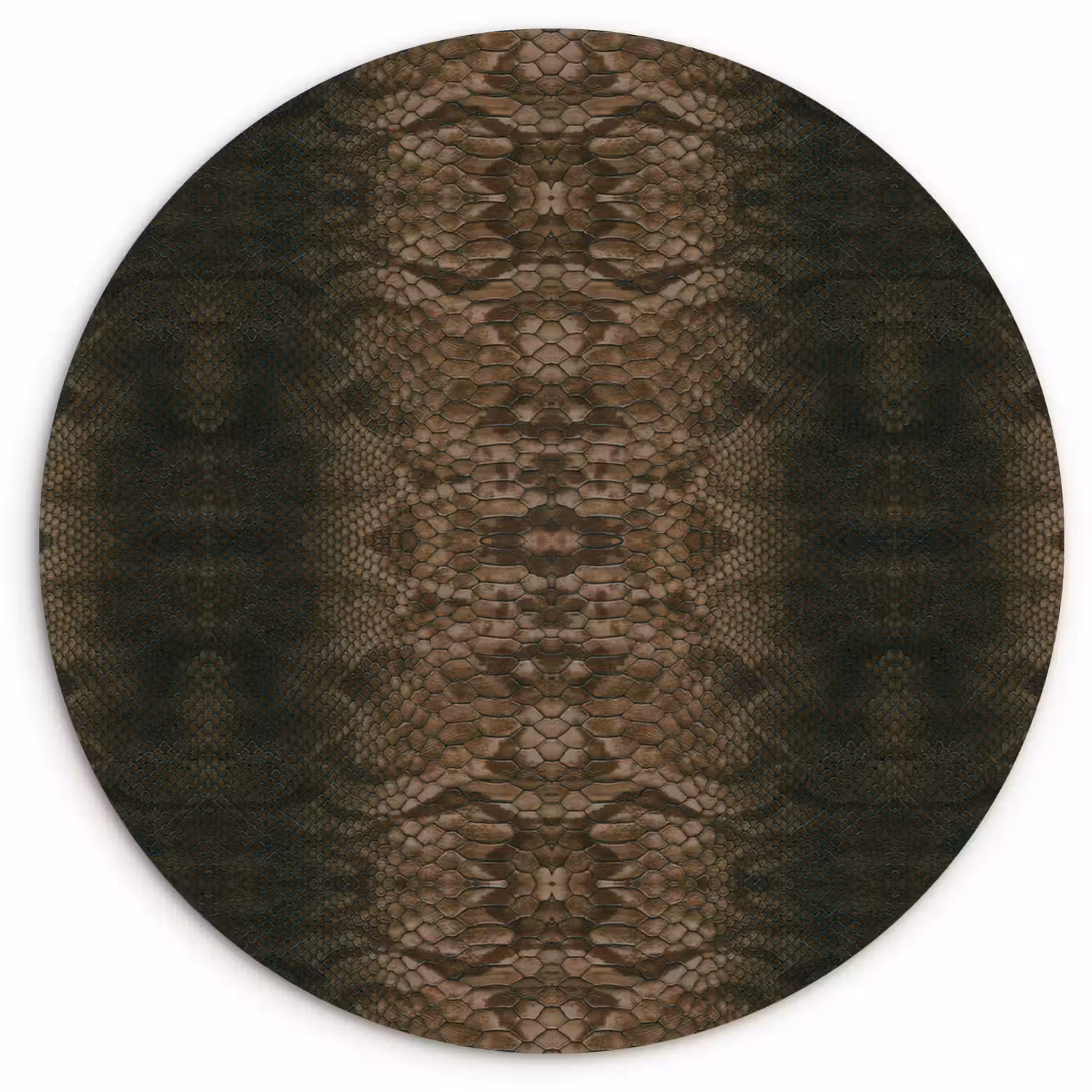 Slang - Boa - Diep - Bruin Wandcirkel plexiglas klein 852 -3d