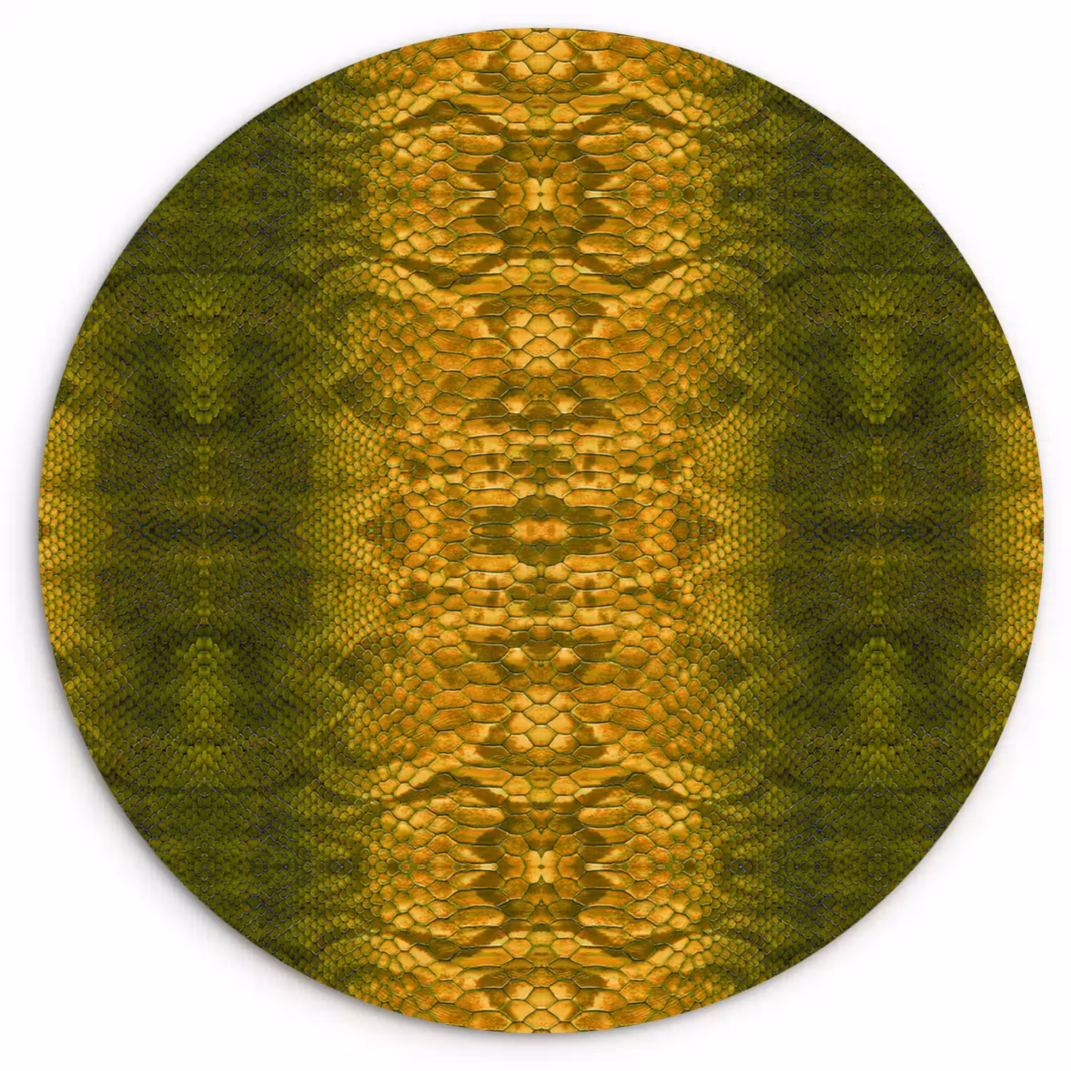 Slang - Boa - Geel - Groen Wandcirkel plexiglas klein 852 -3d