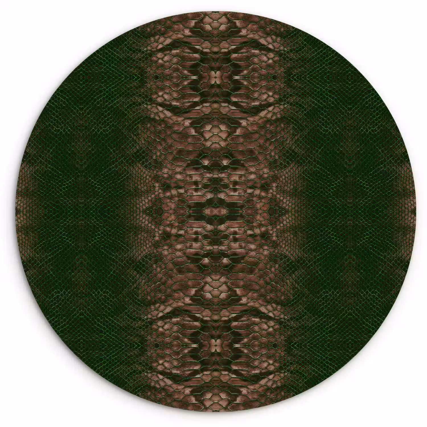 Slang - Boa - Groen - Bruin Wandcirkel plexiglas klein 852 -3d