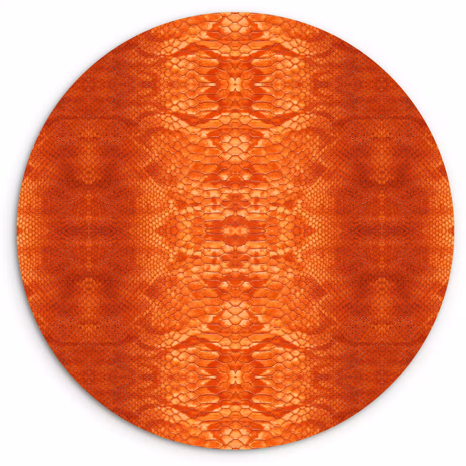 Slang - Boa - Oranje Wandcirkel plexiglas klein 852 -3d