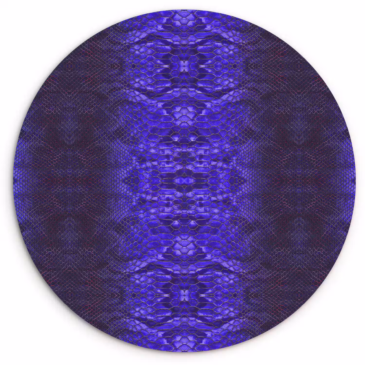 Slang - Boa - Paars - Blauw Wandcirkel plexiglas klein 852 -3d