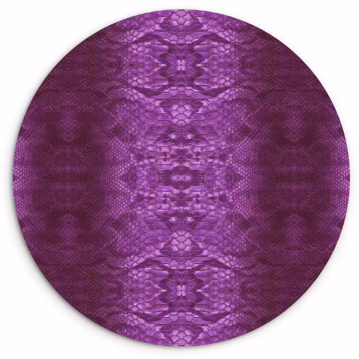 Slang - Boa - Paars - Roze Wandcirkel plexiglas klein 852 -3d