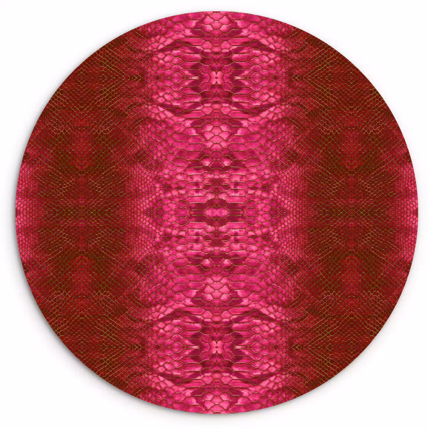 Slang - Boa - Roze Wandcirkel plexiglas klein 852 -3d