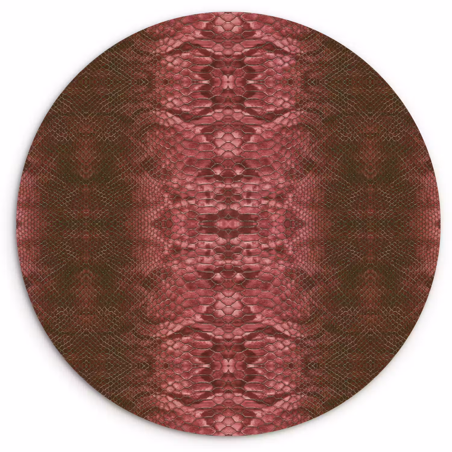 Slang - Boa - Roze - Groen Wandcirkel plexiglas klein 852 -3d