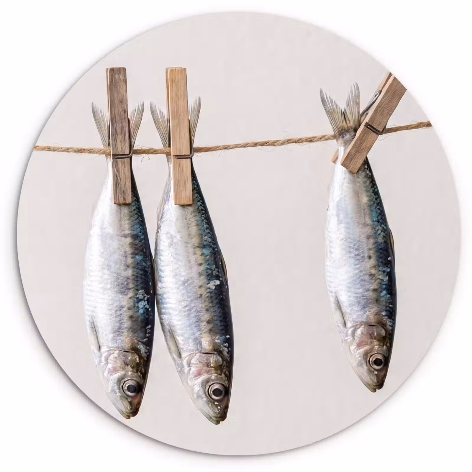 Muurcirkel glas - Vis - Hangend - Eten - Vis - Hangend - Eten Wandcirkel plexiglas klein