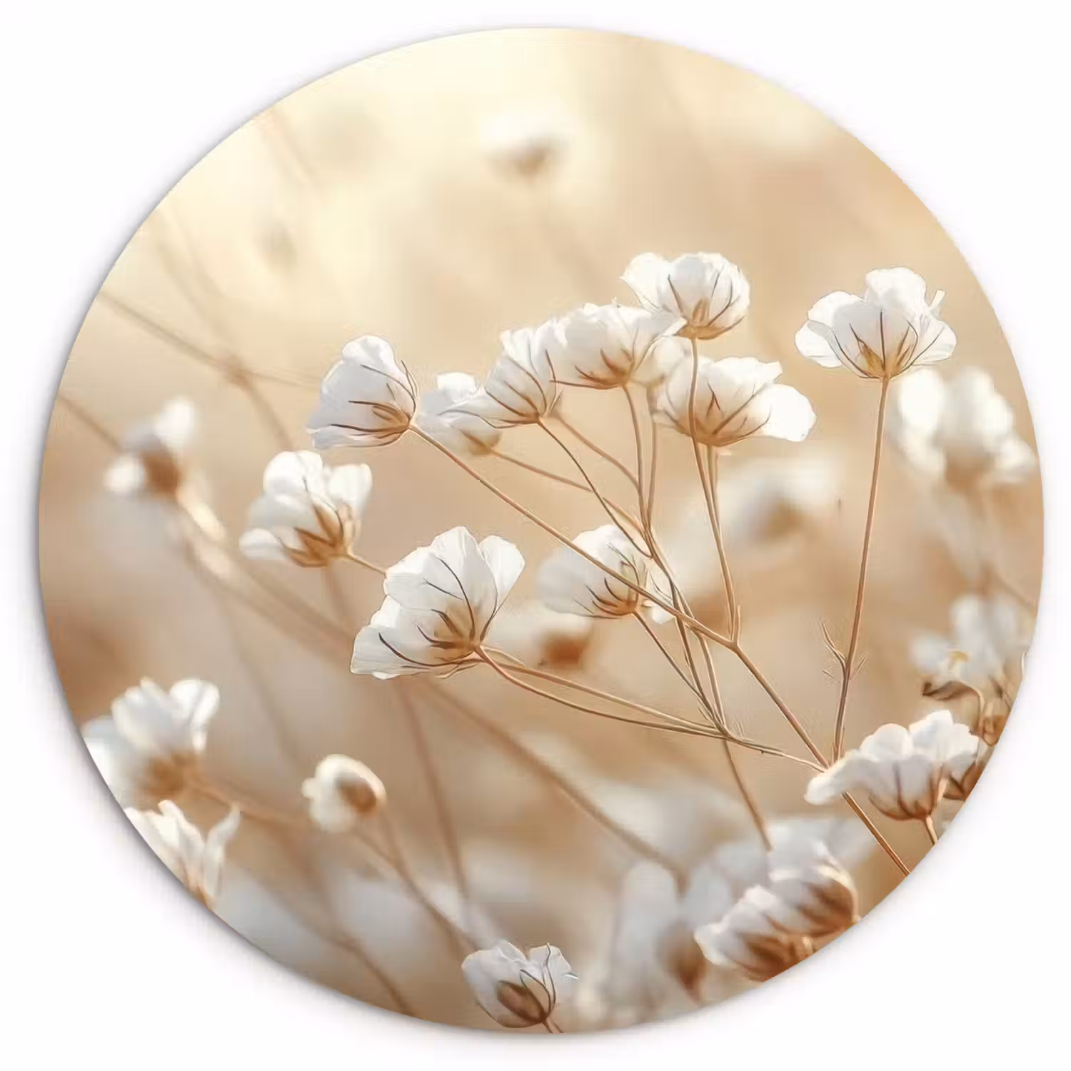 Wilde - Bloemen - Wit Wandcirkel plexiglas klein -3d
