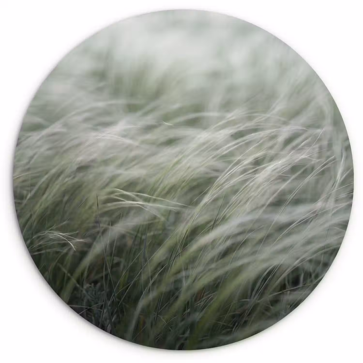 Gras - Wazig - Natuur - Groen - Zacht Wandcirkel kunststof plaat 5mm dik klein -3d