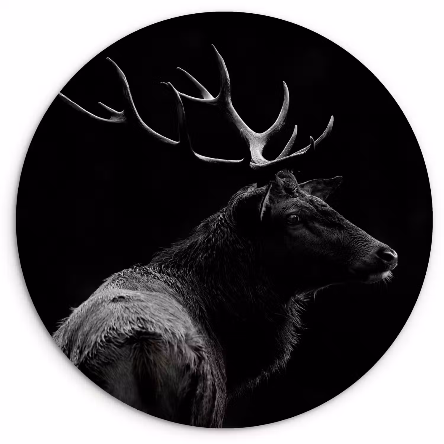 Hert - Zwart - Portret - Gewei - Dieren Wandcirkel kunststof plaat 5mm dik klein -3d