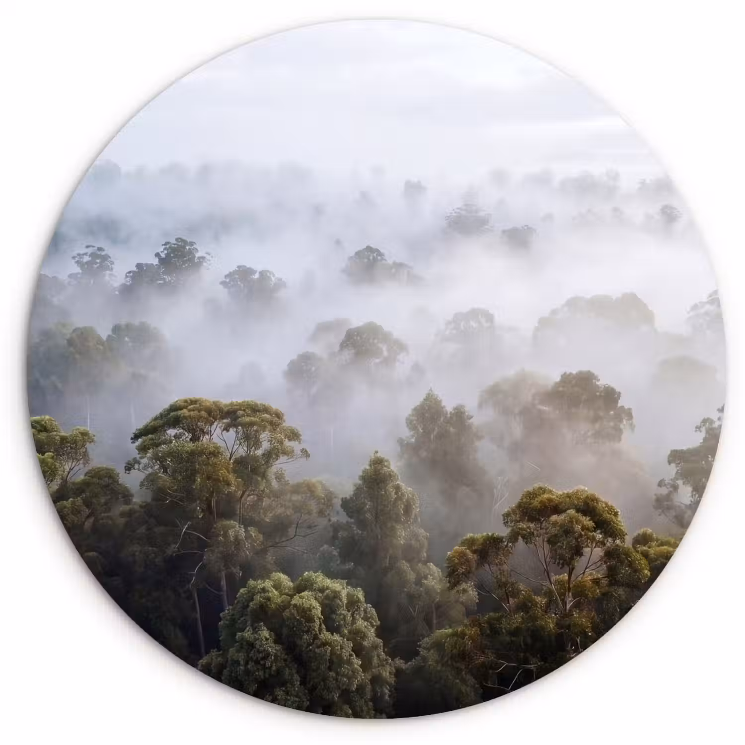 Natuur - Mist - Bos - Ochtend - Goud Wandcirkel kunststof plaat 5mm dik klein -3d