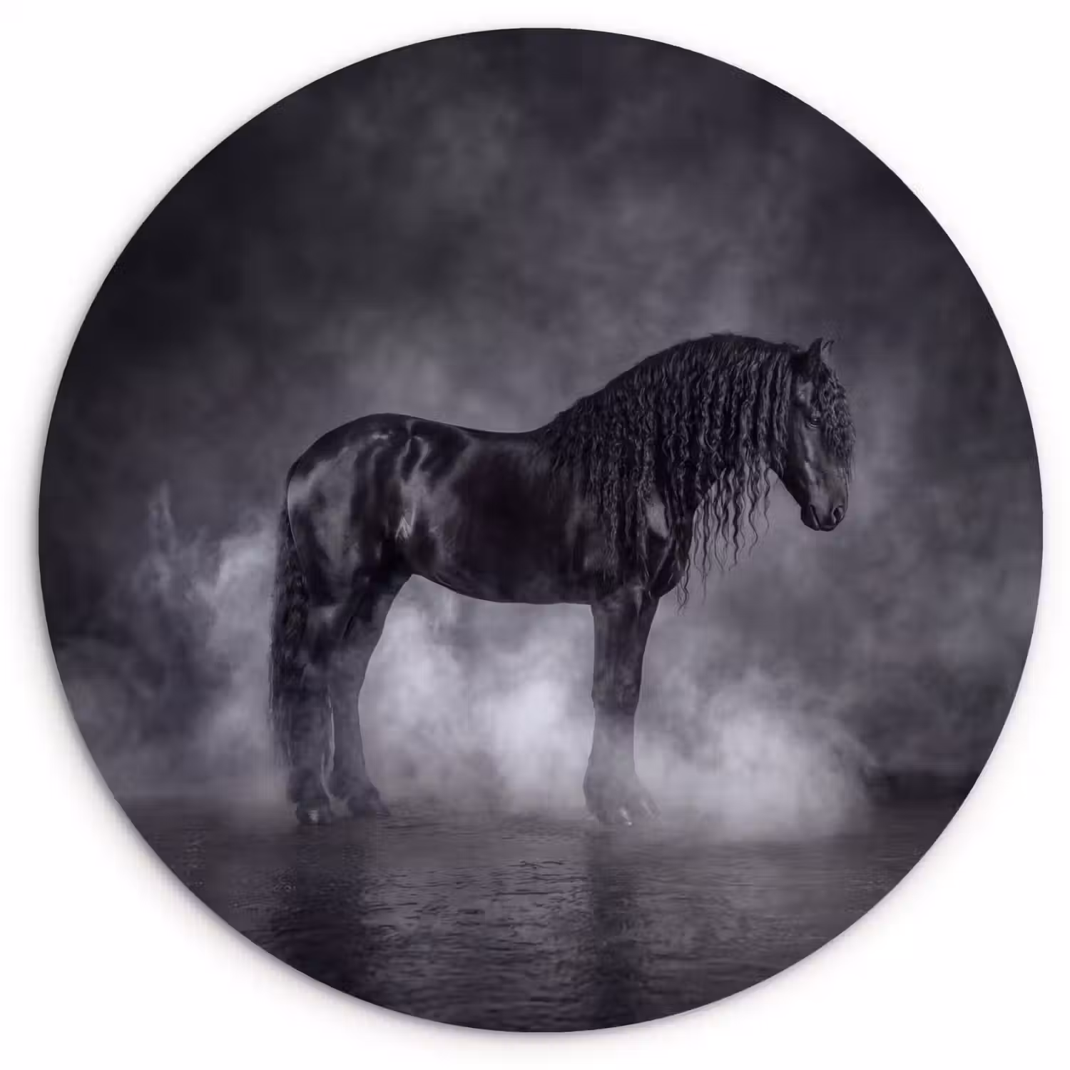 Paard - Magisch - Zwart Wandcirkel kunststof plaat 5mm dik klein -3d