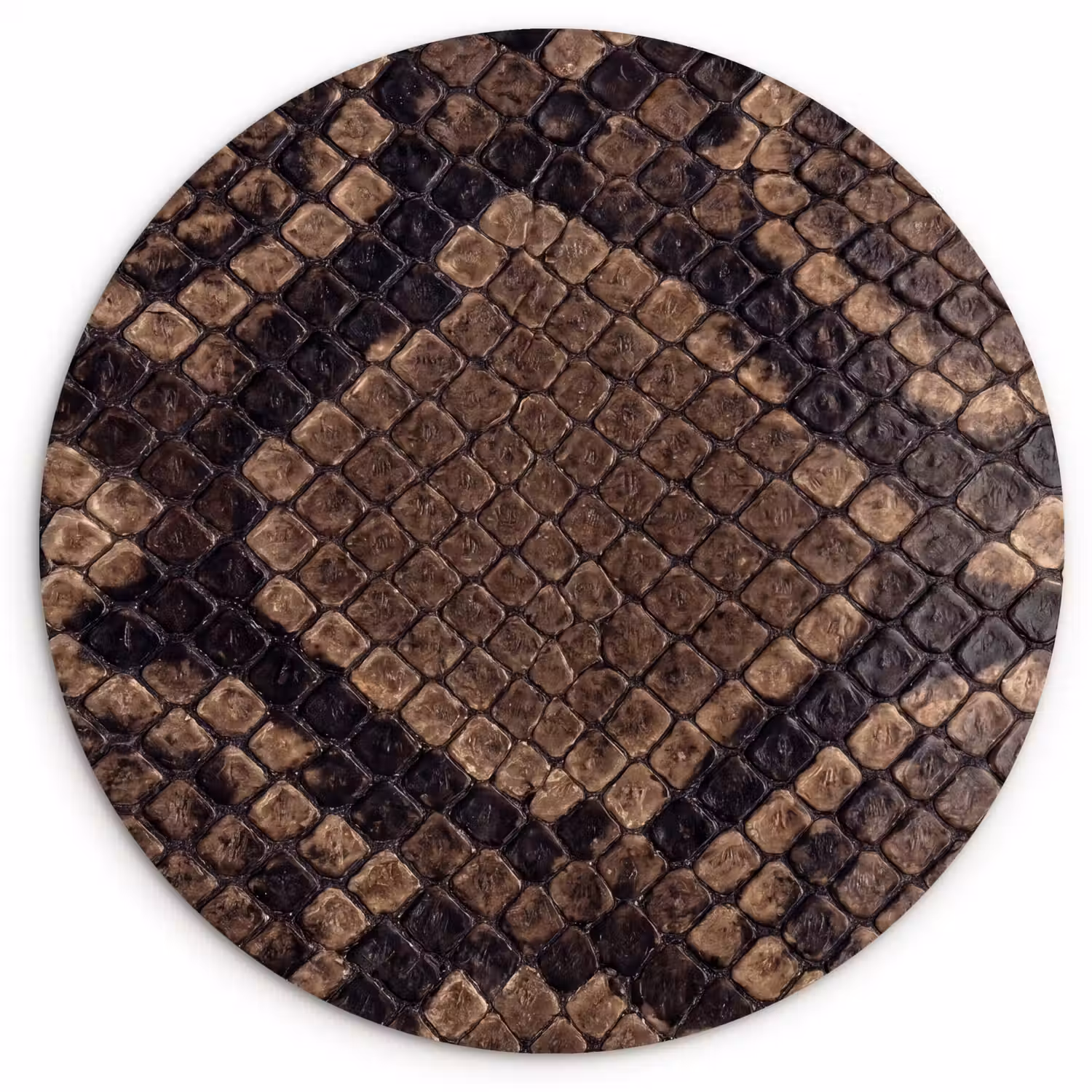 Python - Schubben - Brons Wandcirkel kunststof plaat 5mm dik klein -3d