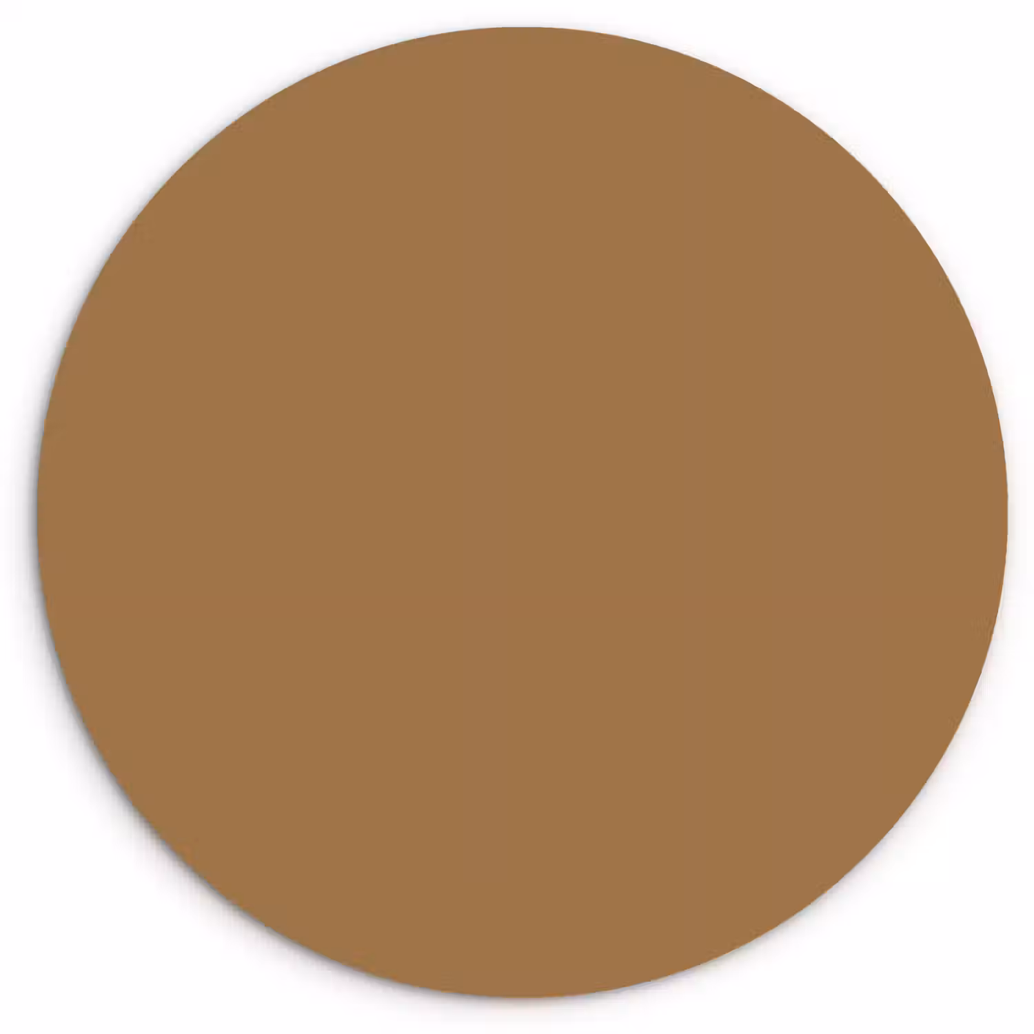 Sahara - Earth - Oranje Wandcirkel kunststof plaat 5mm dik klein 188 -3d