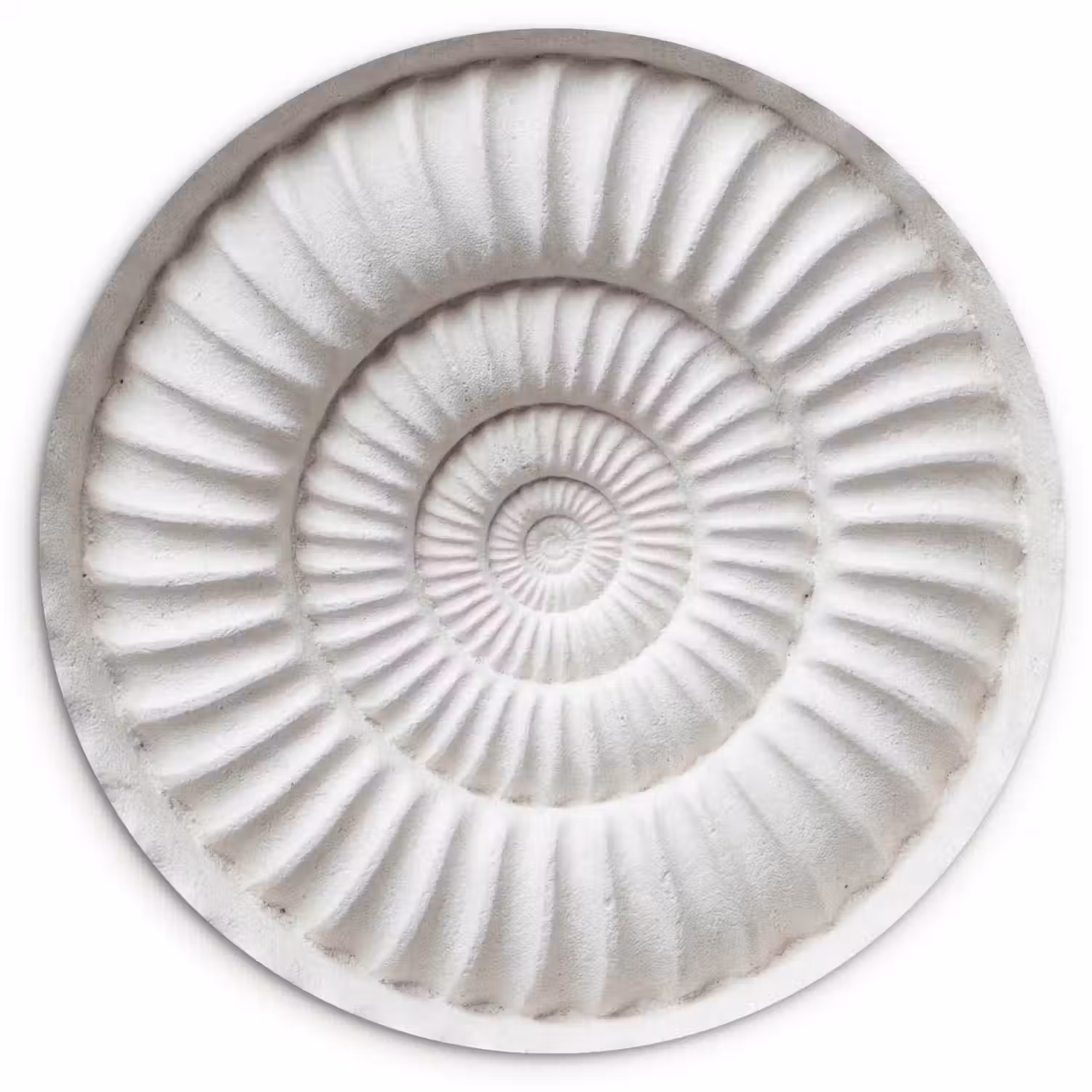 Schelp - Spiraal - Wit Wandcirkel kunststof plaat 5mm dik klein -3d