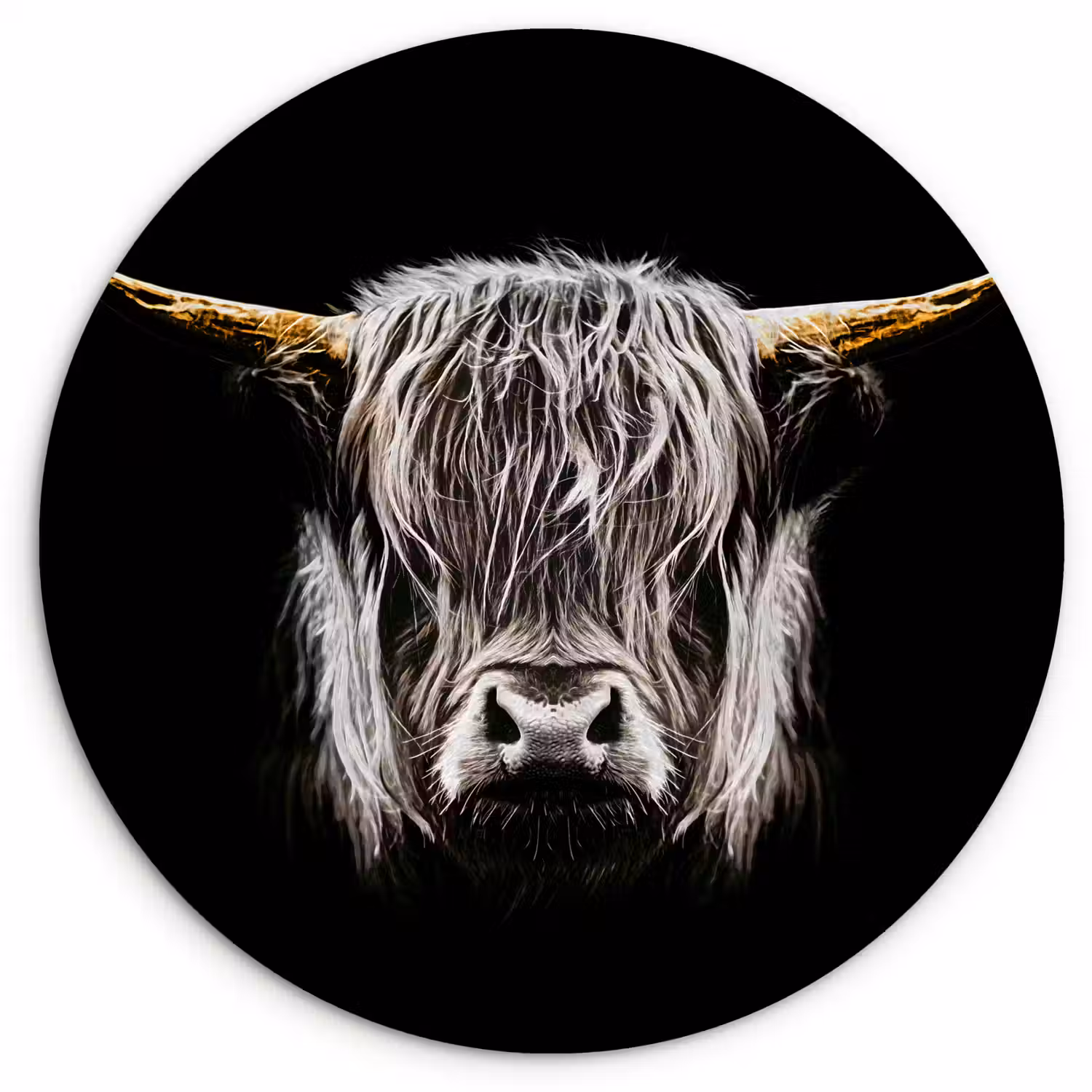 Schotse hooglander - Goud - Hoorns - Zwart wit - Koe - Dieren Wandcirkel kunststof plaat 5mm dik klein -3d