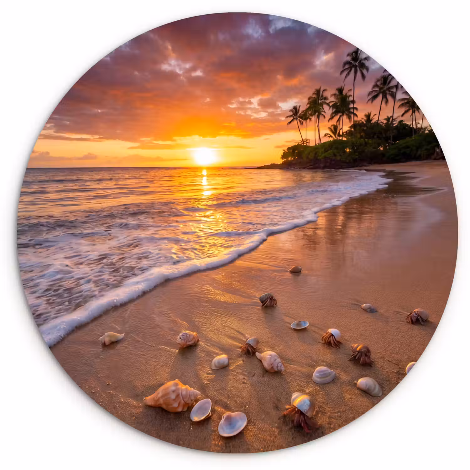 Strand - Zonsondergang - Palmbomen - Natuur - Oranje Wandcirkel kunststof plaat 5mm dik klein -3d