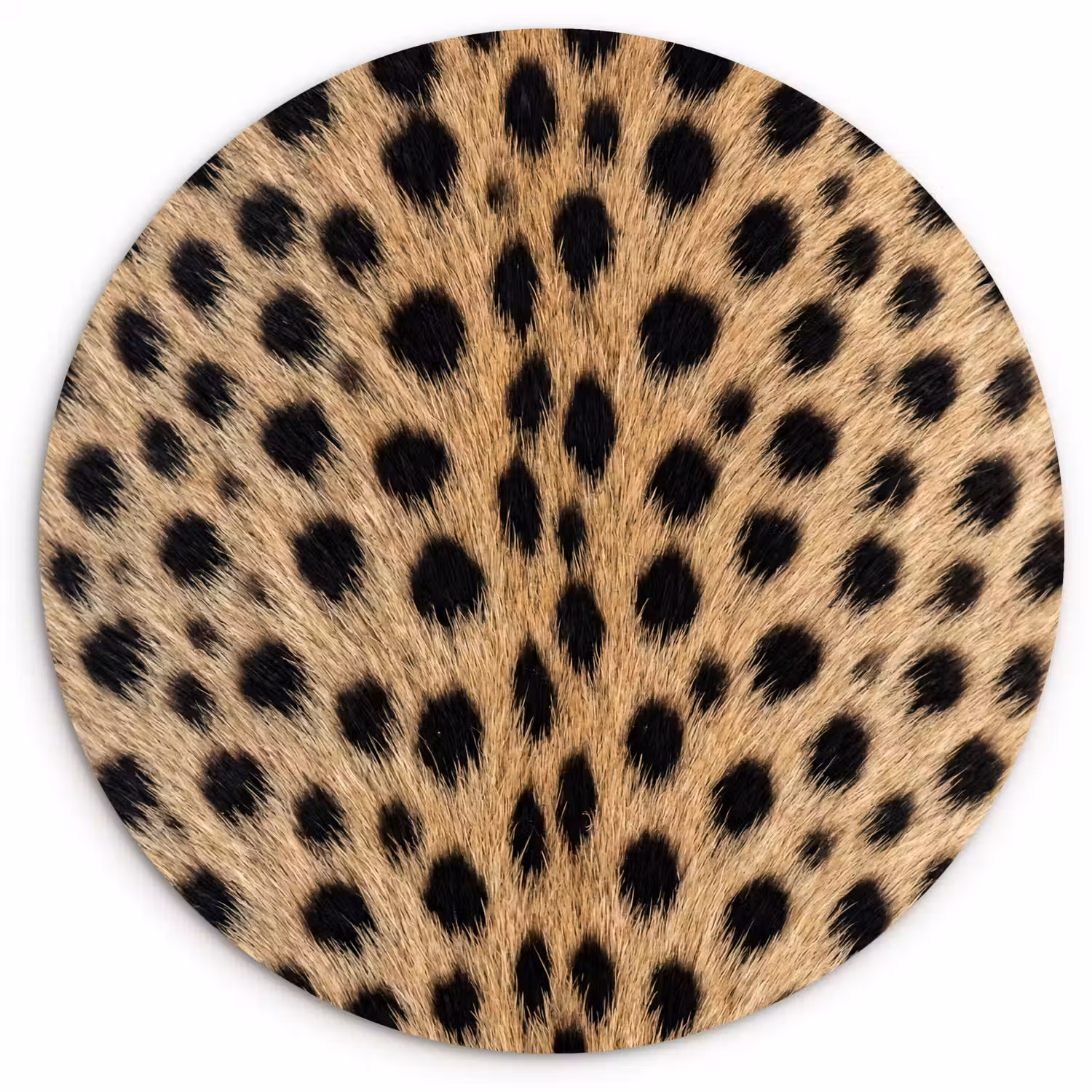 Vacht - Jachtluipaard - Zwart - Wit Wandcirkel kunststof plaat 5mm dik klein -3d