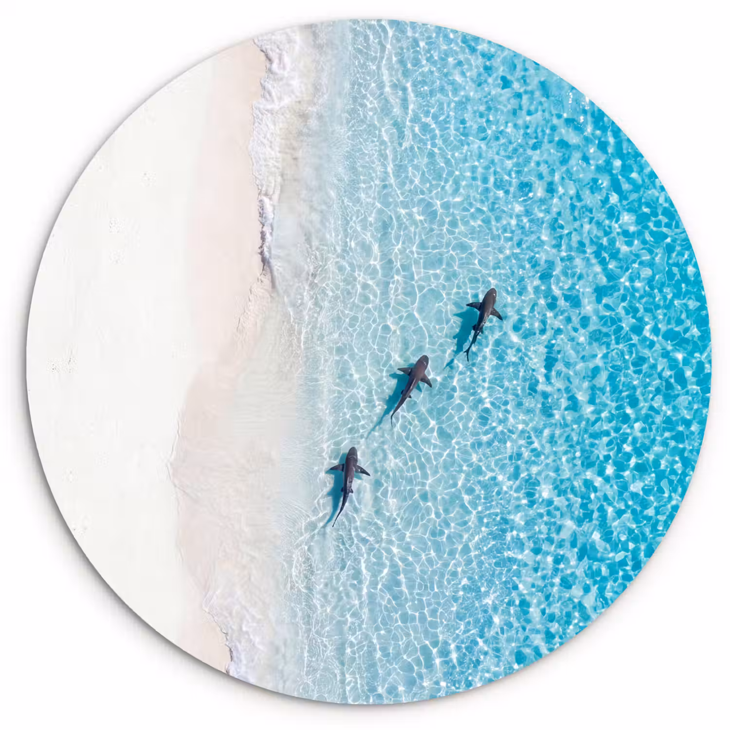 Vis - Oceaan - Strand - Turquoise - Natuur Wandcirkel kunststof plaat 5mm dik klein -3d
