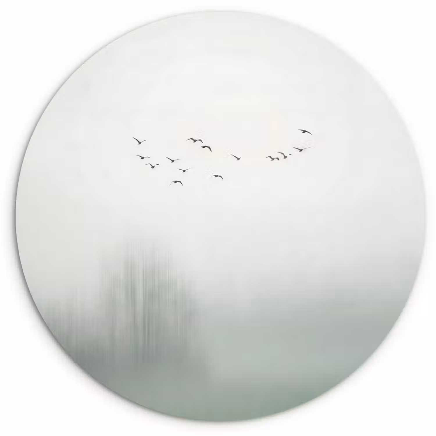Vogel - Vlucht - Natuur - Minimalistisch Wandcirkel kunststof plaat 5mm dik klein -3d