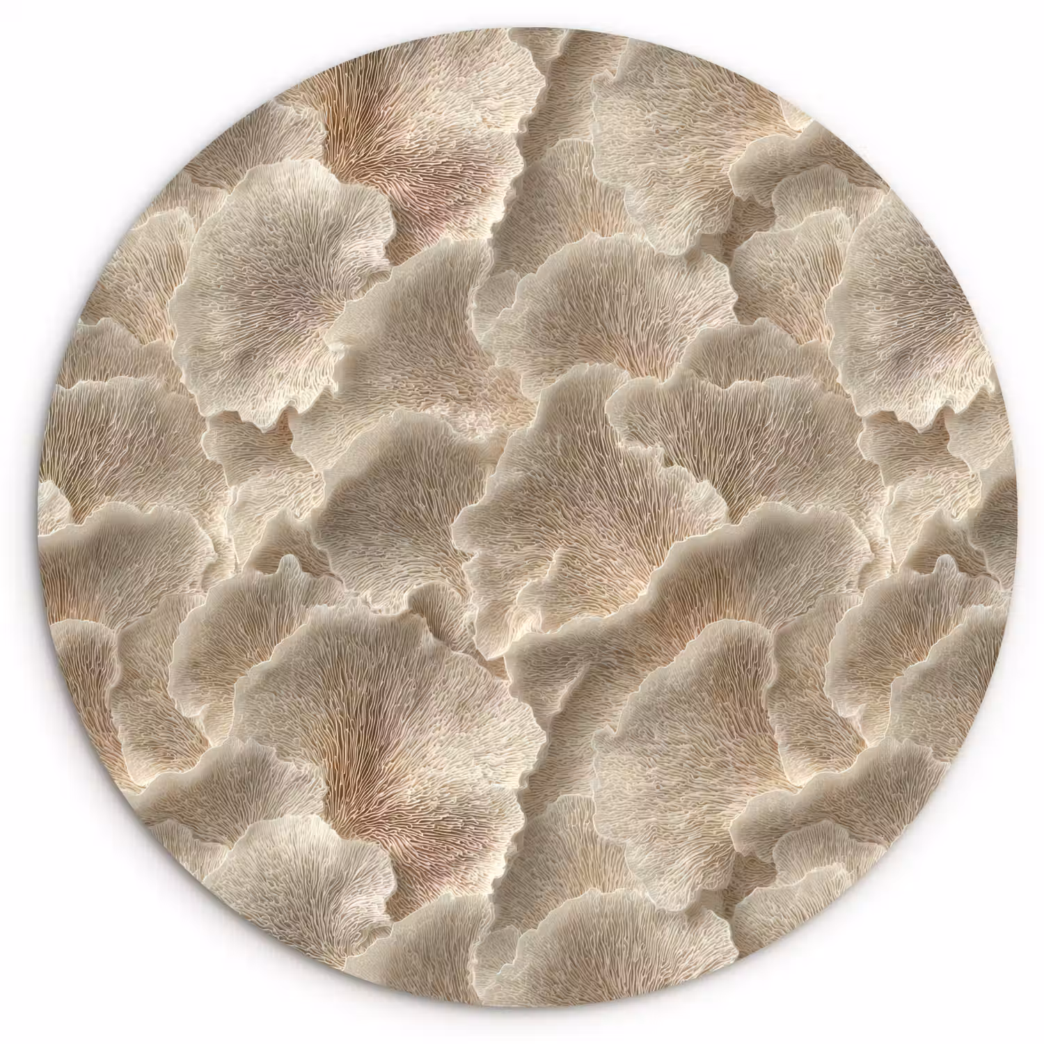 Waaierstructuren - Beige - Vezeltextuur Wandcirkel kunststof plaat 5mm dik klein 188 -3d