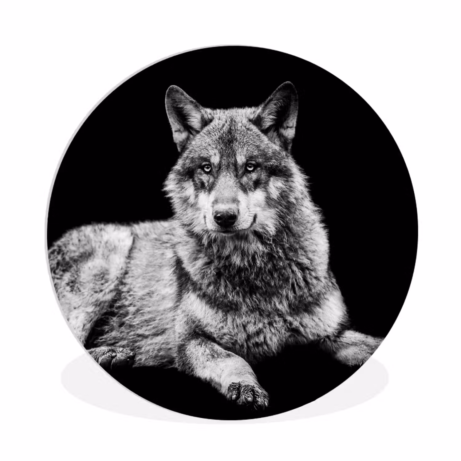 Wilde dieren - Wolf - Zwart - Wit Wandcirkel kunststof plaat 5mm dik klein -3d