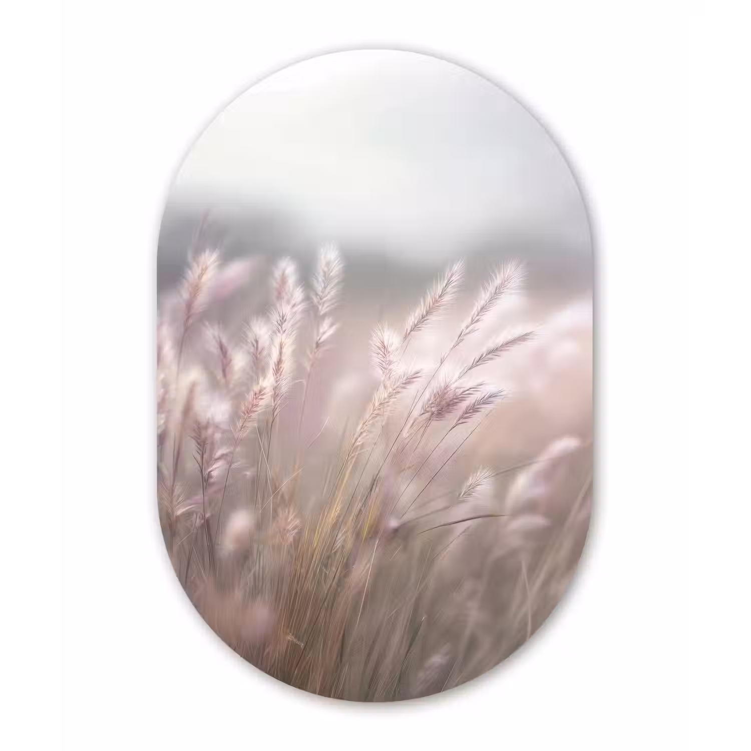Graspluimen - Wind - Beige - Mistig Wandcirkel Ovaal Glas middel -3d