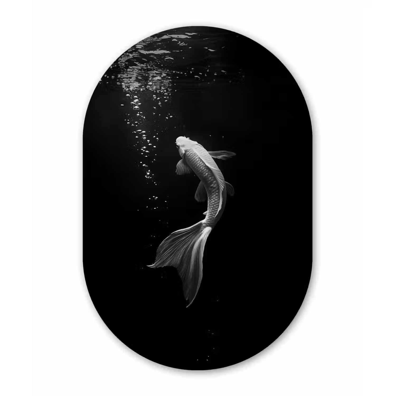 Koi - Vis - Wit - Zwart Wandcirkel Ovaal Glas middel -3d