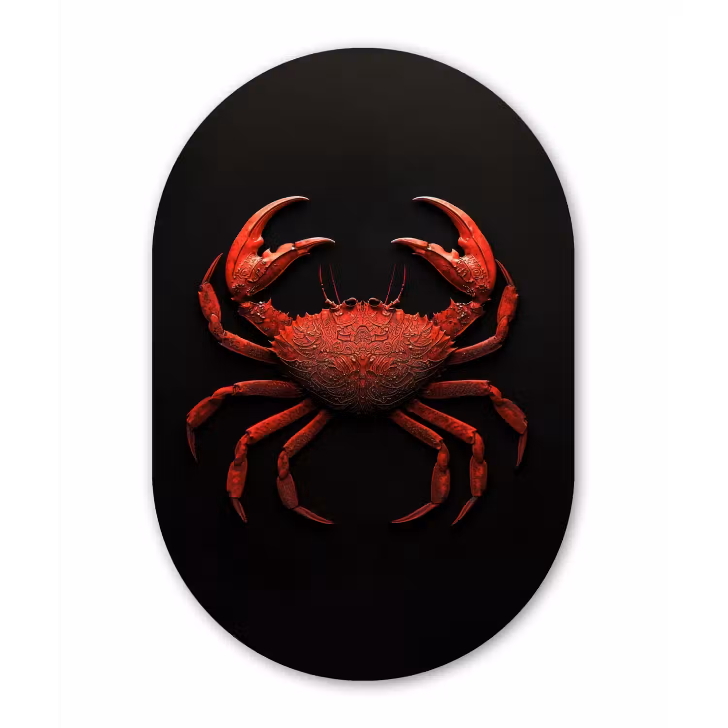 Krab - Rood - Vissen - Schaaldieren Wandcirkel Ovaal Glas middel -3d