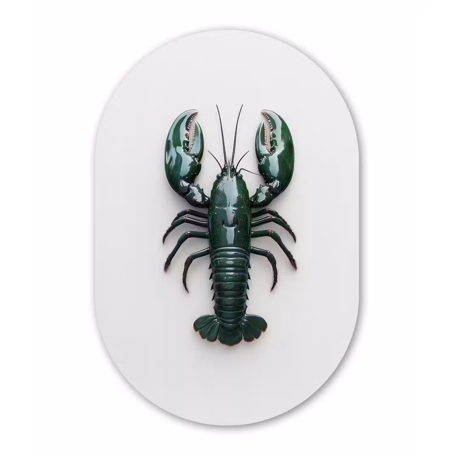 Kreeft - Glossier - Groen - Wit Wandcirkel Ovaal Glas middel -3d