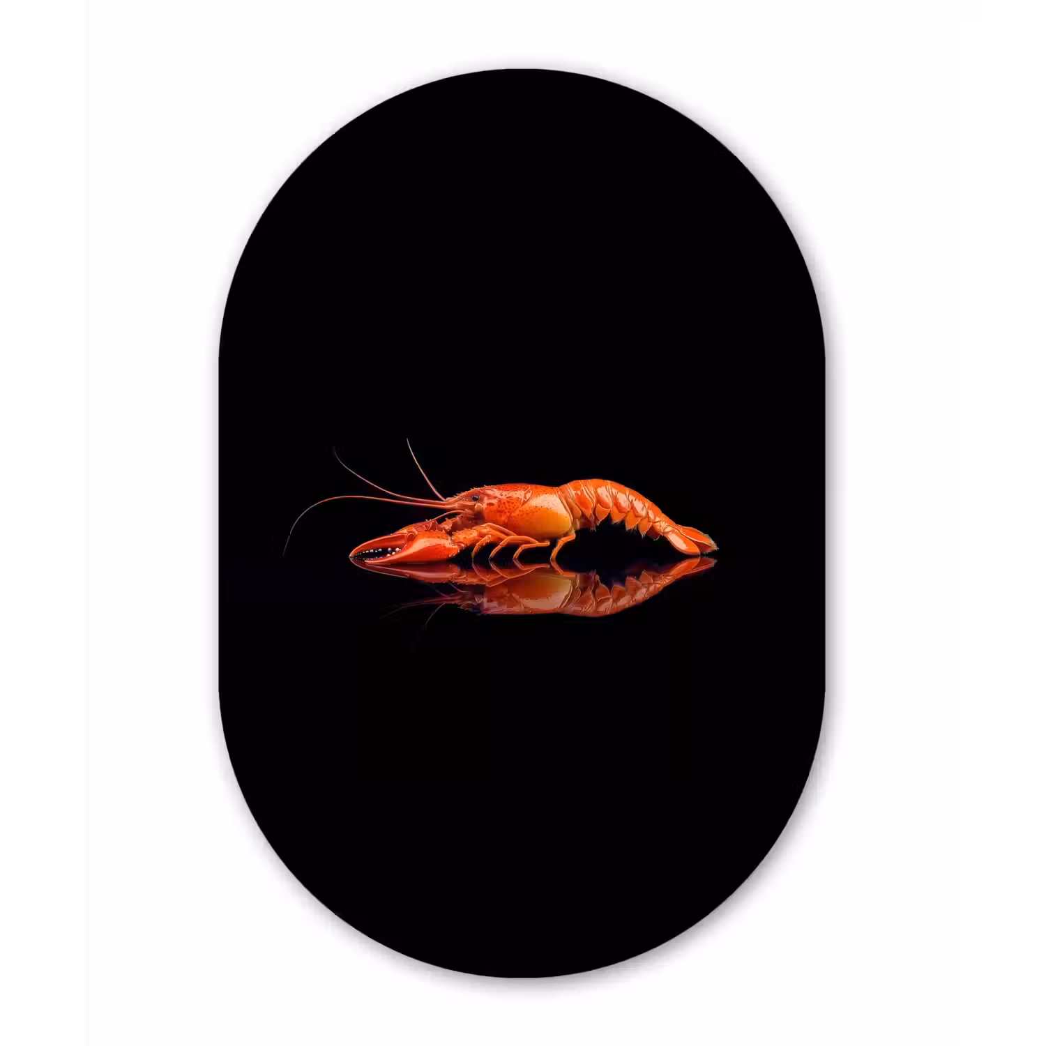 Kreeft - Oranje - Zwart - Opvallend Wandcirkel Ovaal Glas middel -3d