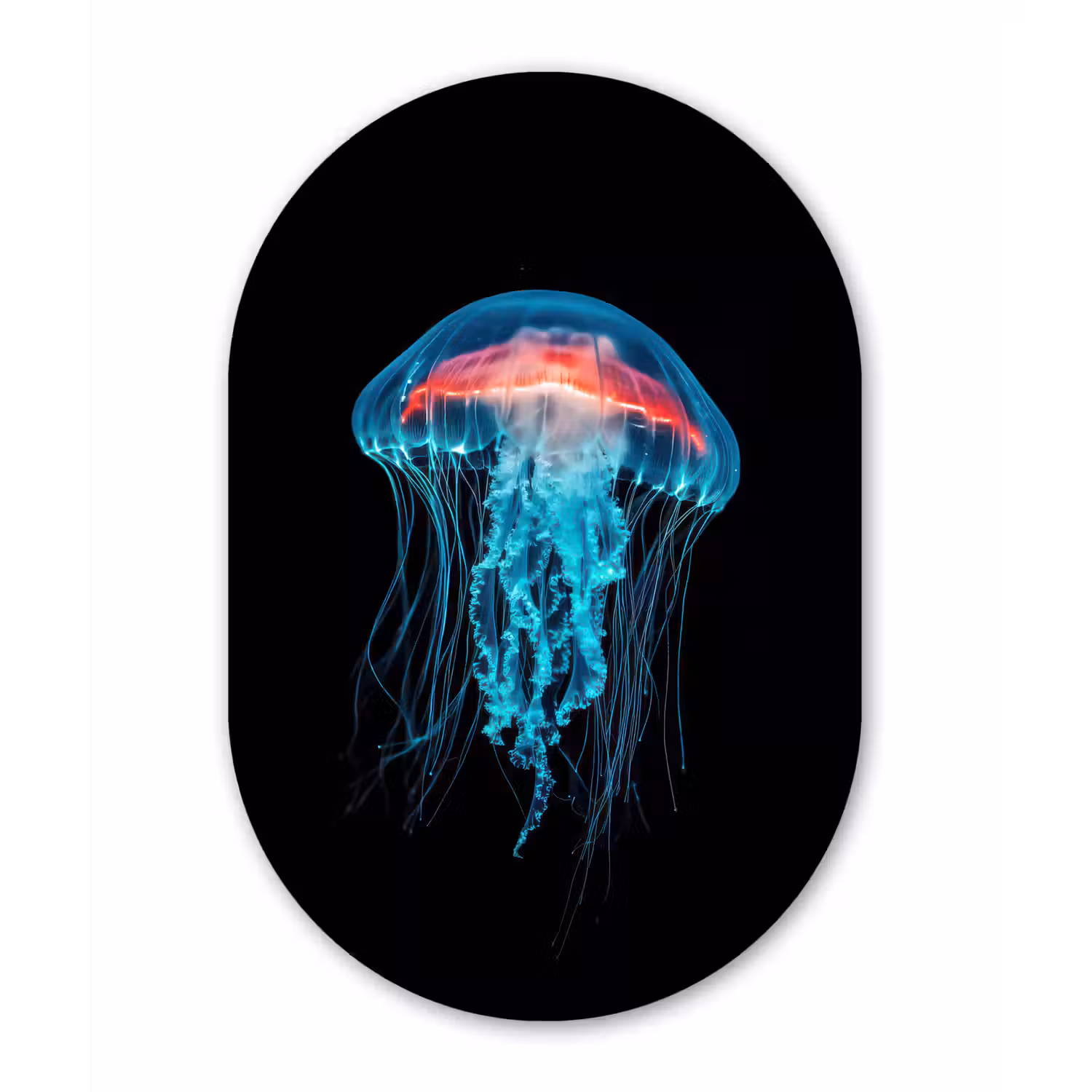 Kwal - Tentakels - Blauw - Licht Wandcirkel Ovaal Glas middel -3d