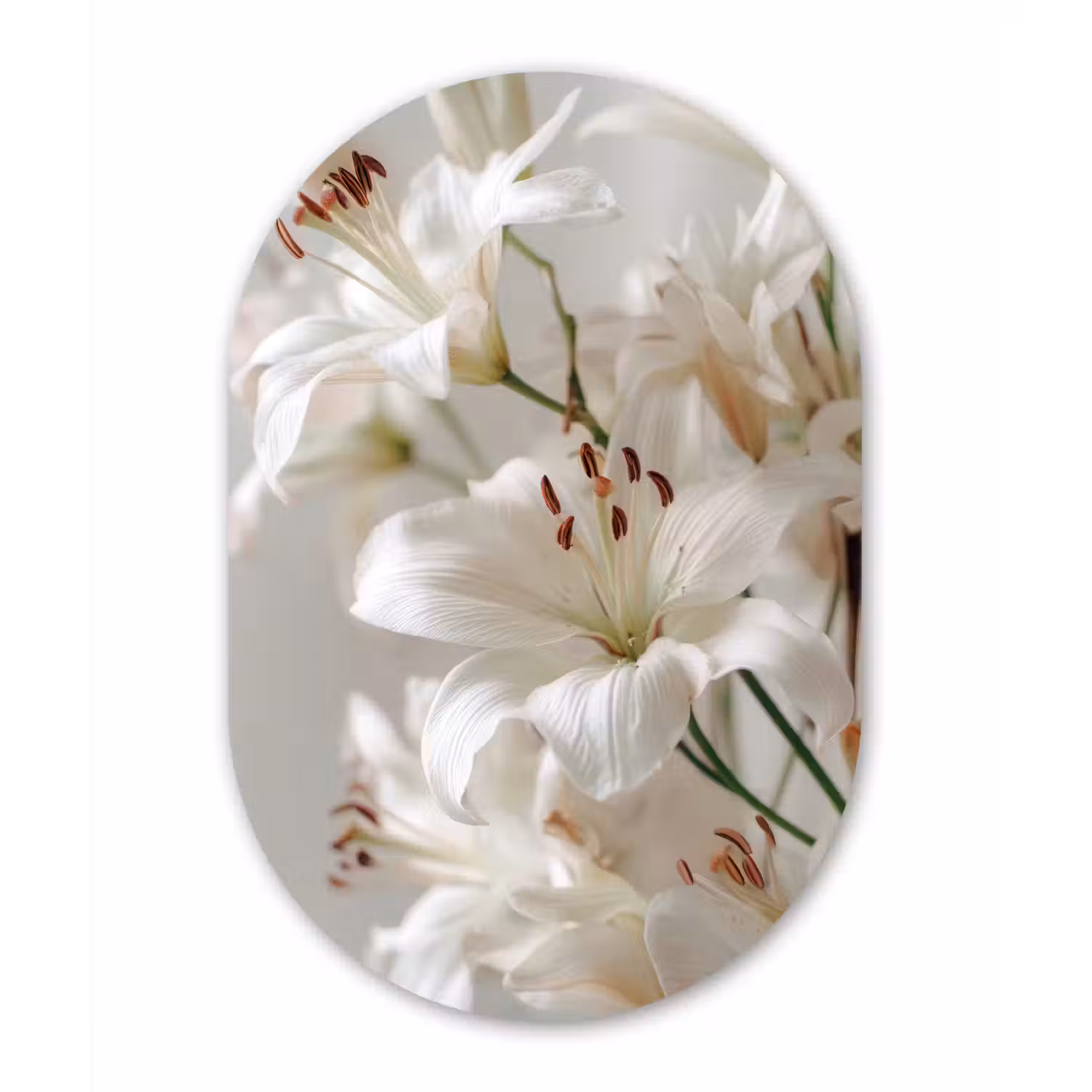 Lelies - Boekte - Wit - Meeldraden Wandcirkel Ovaal Glas middel -3d